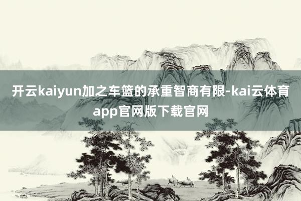 开云kaiyun加之车篮的承重智商有限-kai云体育app官网版下载官网