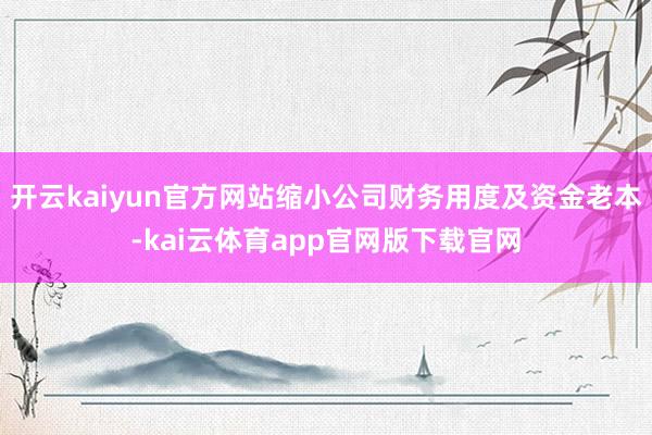 开云kaiyun官方网站缩小公司财务用度及资金老本-kai云体育app官网版下载官网