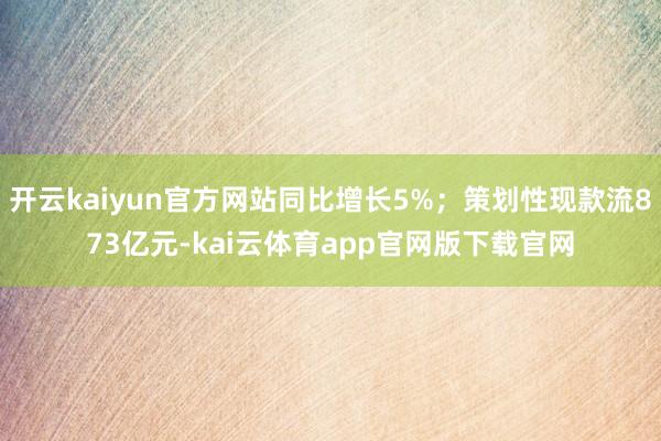 开云kaiyun官方网站同比增长5%;策划性现款流873亿元-kai云体育app官网版下载官网