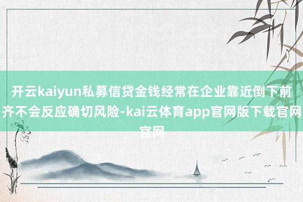 开云kaiyun私募信贷金钱经常在企业靠近倒下前齐不会反应确切风险-kai云体育app官网版下载官网